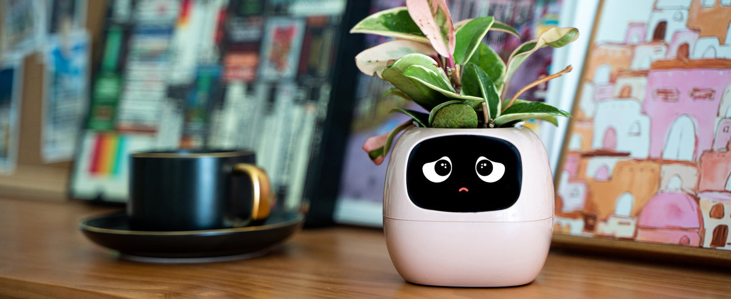 Smart Planter