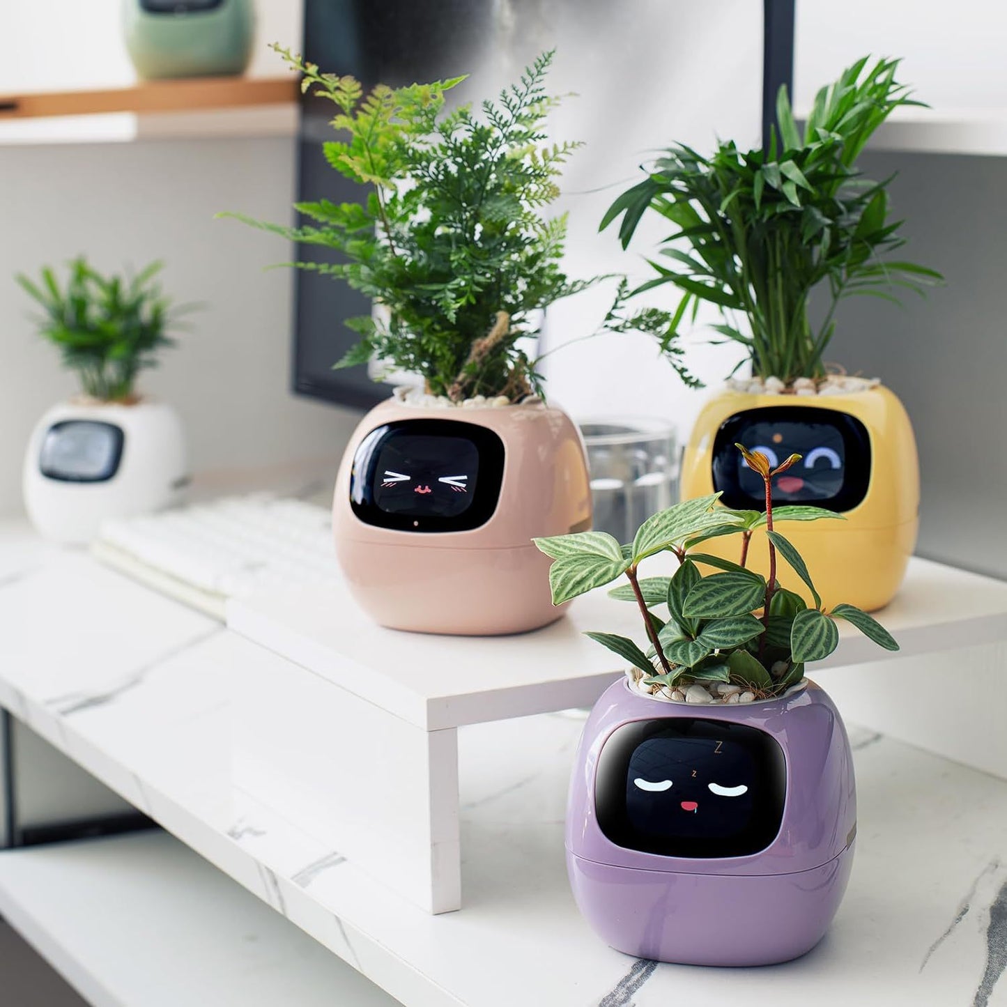 Smart Planter