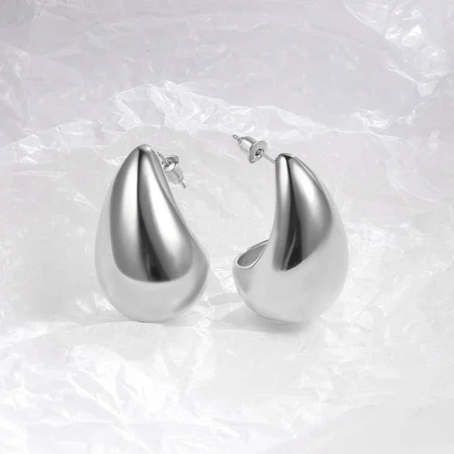 Alheri 925 Sterling Silver Earrings