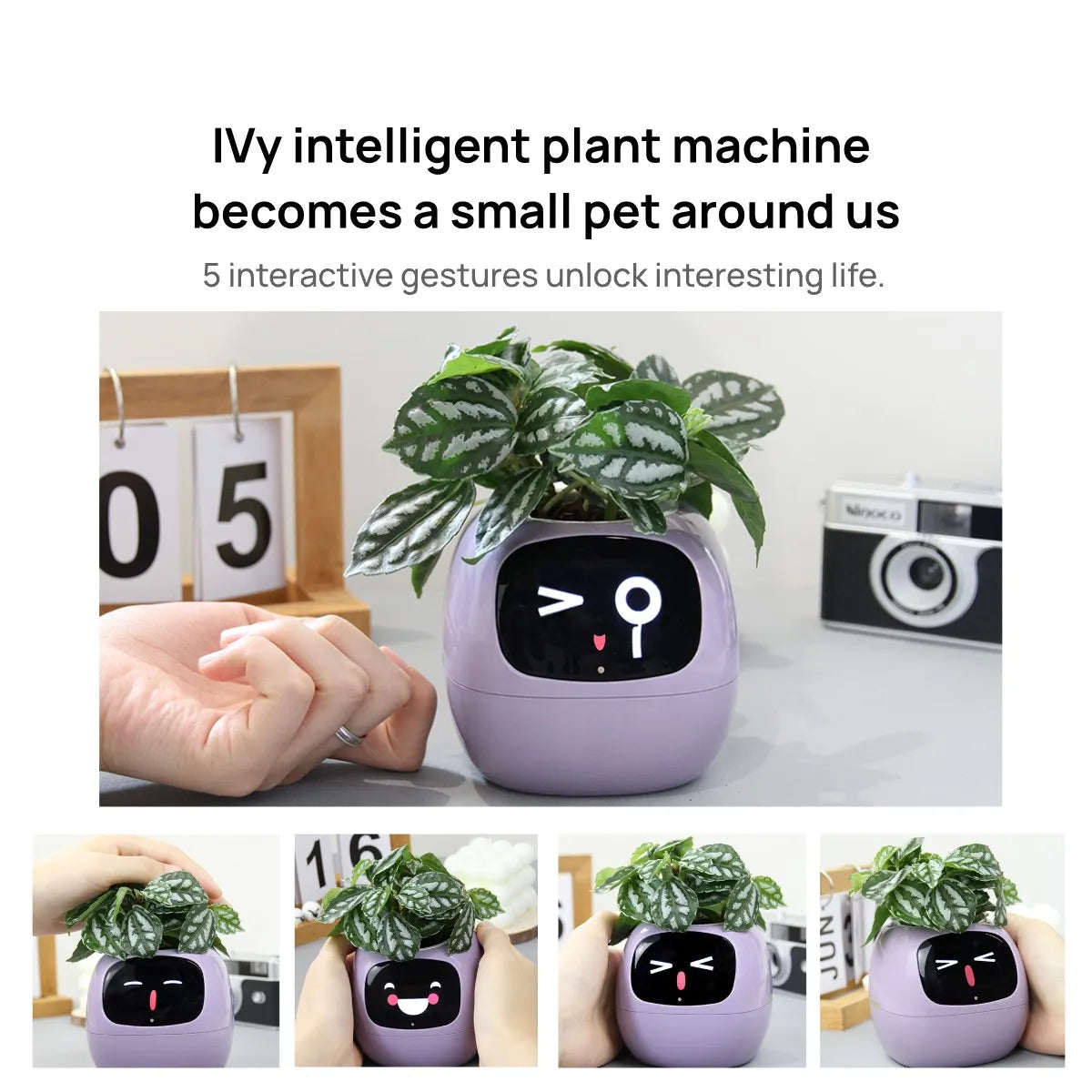 Smart Planter